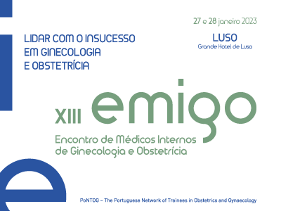 XIII EMIGO 27-28 de Janeiro, Luso